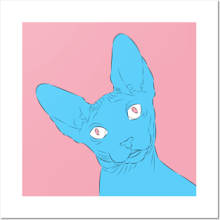 Blue Sphynx Cat Posters and Art